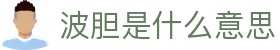 智慧波胆-主流赛事波胆预测与高赔方案速查